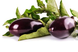 How To Grow An Eggplant