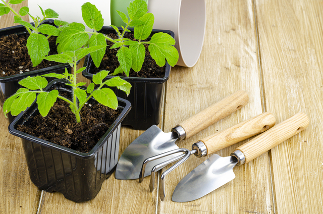 Gardening Tools