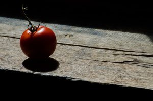 A ripe red tomato on a wooden surface, casting a shadow in natural light.